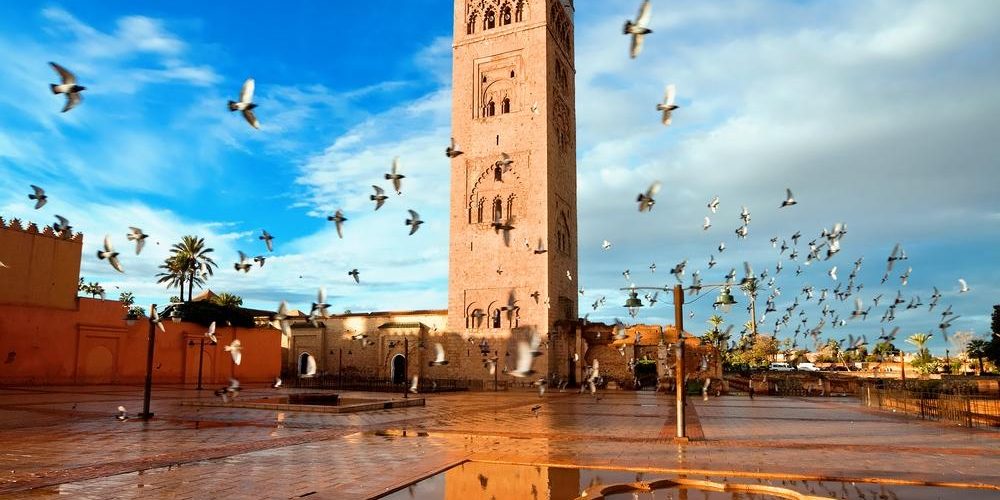 Across Morocco (Marrakech, Morocco)